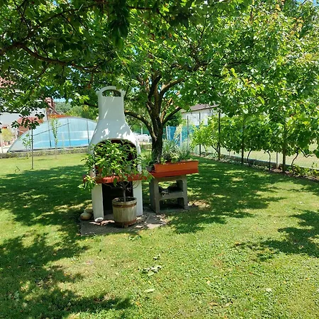 Апартаменты Takacs-haz *