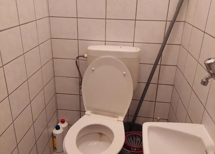 Takacs-haz * גיינסדיאס